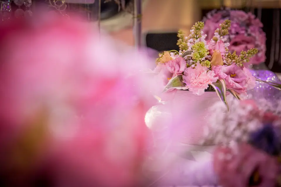 Olivier Criquioche — photo 8