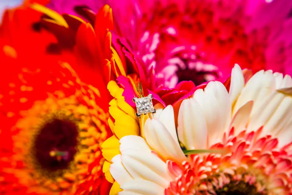 Claire de Groot Photographe — photo 3