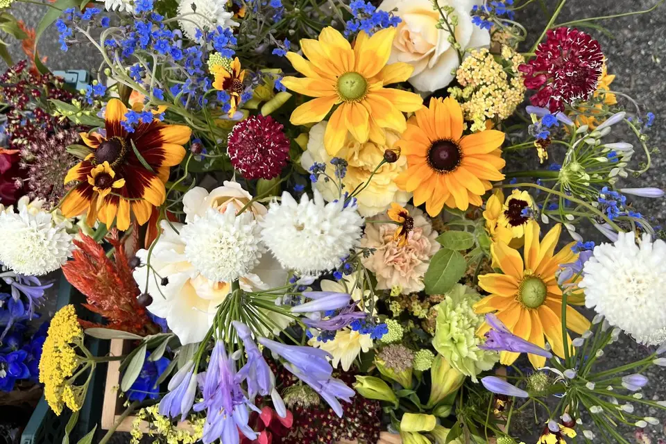 Plantain Maison Fleurie — photo 5