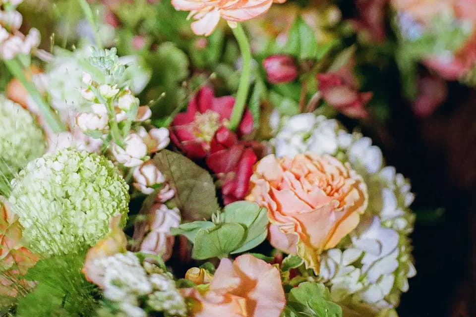 Elodie Villemus Design Occitanie — photo 2