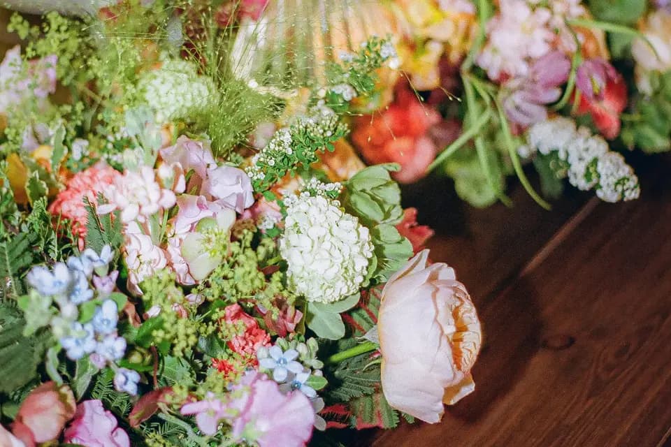 Elodie Villemus Design Occitanie — photo 1