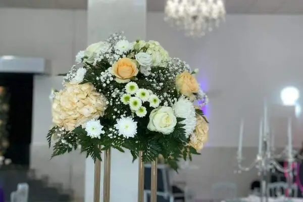 Les Mimosas — photo 3