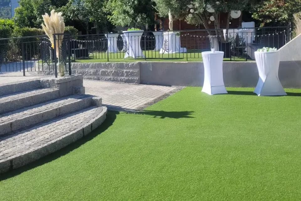 Les Mimosas — photo 8