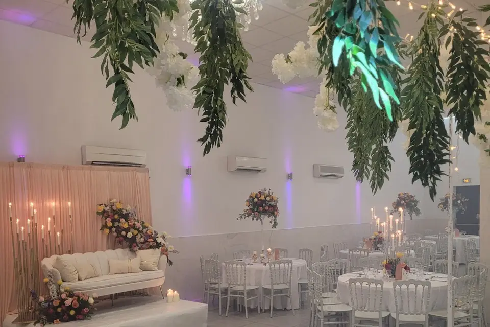 Les Mimosas — photo 4