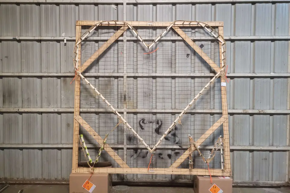 Cyga Evenement — photo 5