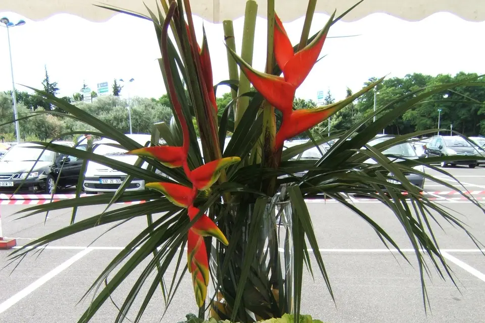 B-Traiteur — photo 3