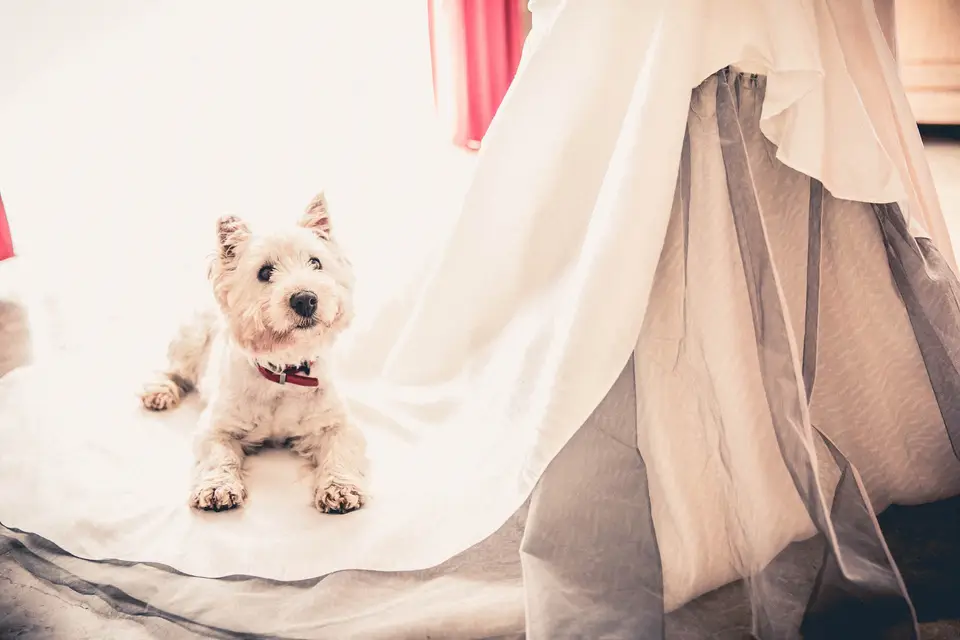 In Photo - Photographe — photo 2