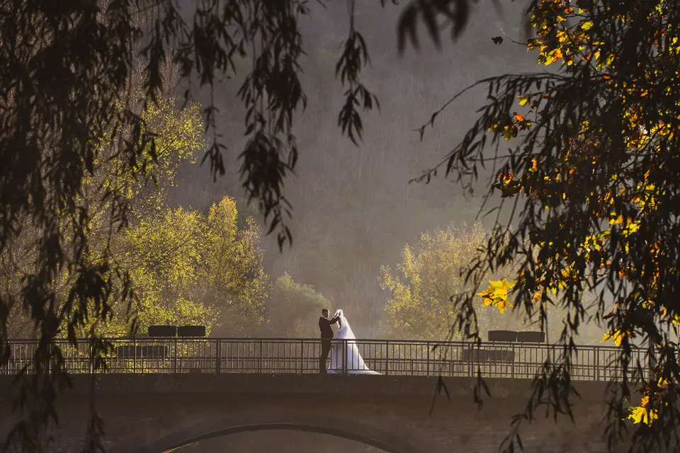 Vincent Frediani — photo 3