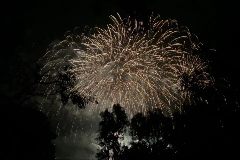 PAF-evenements — photo 8