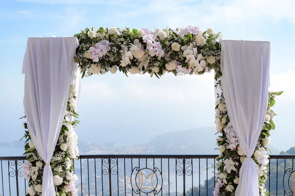 Blanc Pétale — photo 8