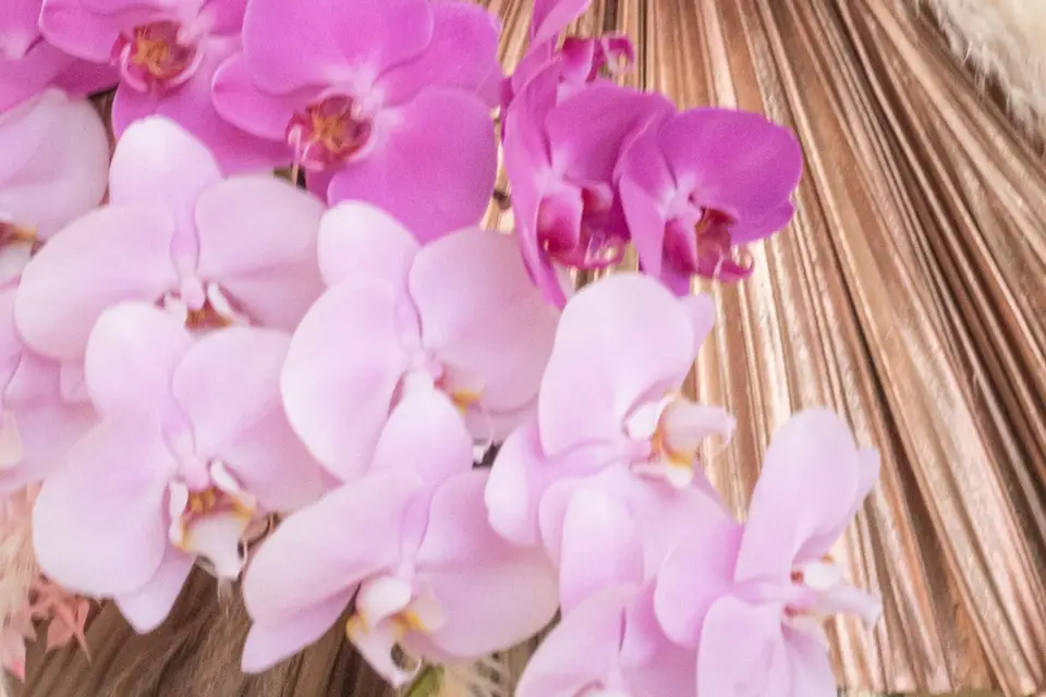 Blanc Pétale — photo 3