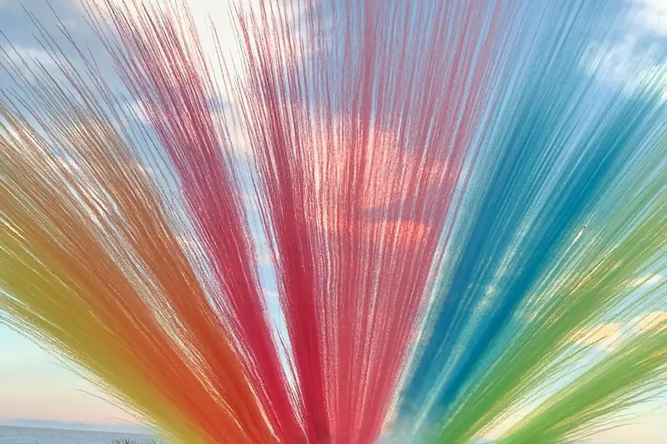 PAF-evenements — photo 7