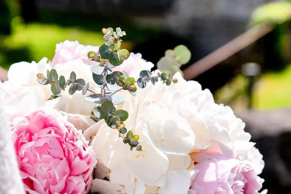 Cheyenne Photographies