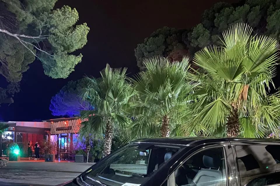 Golden Cab — photo 5