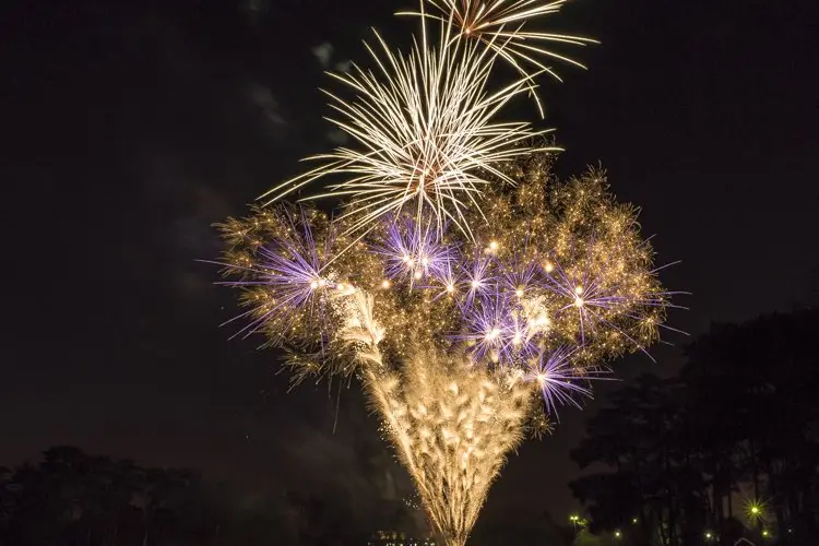 Soirs de Fêtes — photo 6