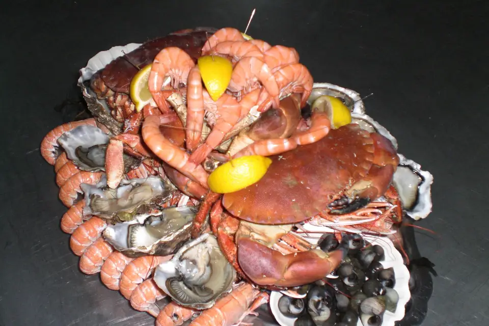 La Rose des Vents — photo 8