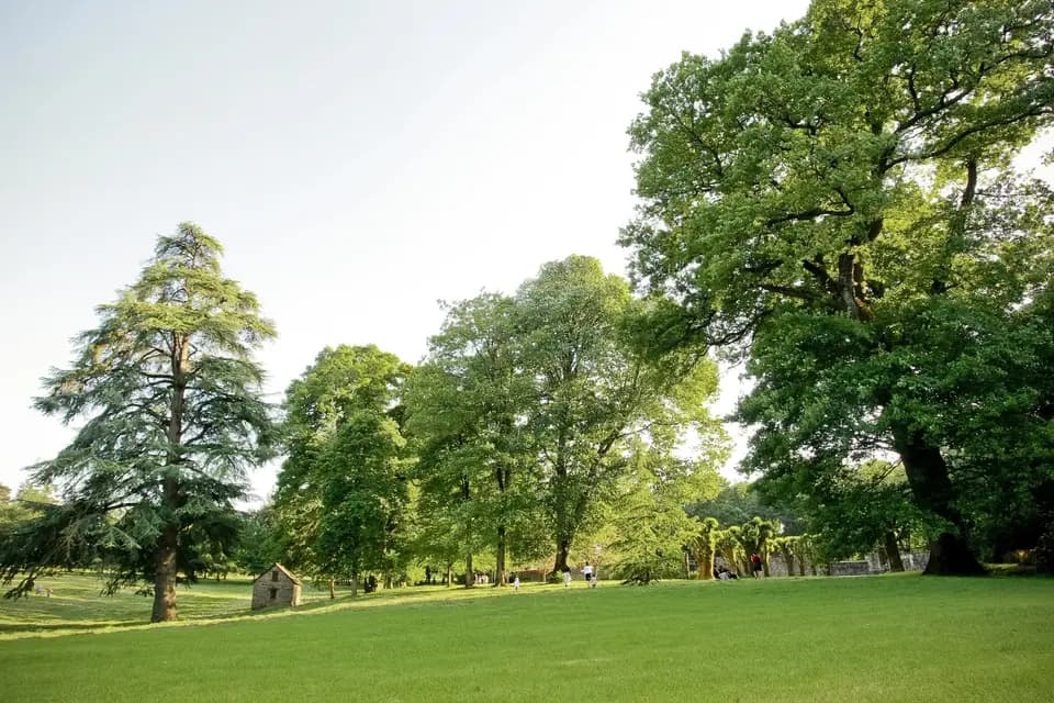 Château de Trédion — photo 6