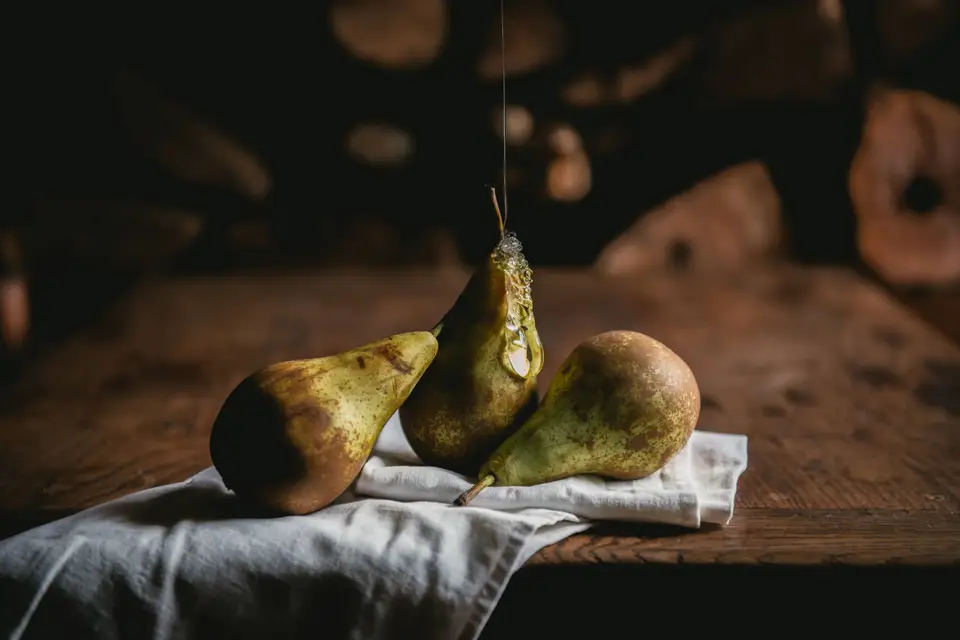 La Miellerie des Monts Brumeux — photo 3