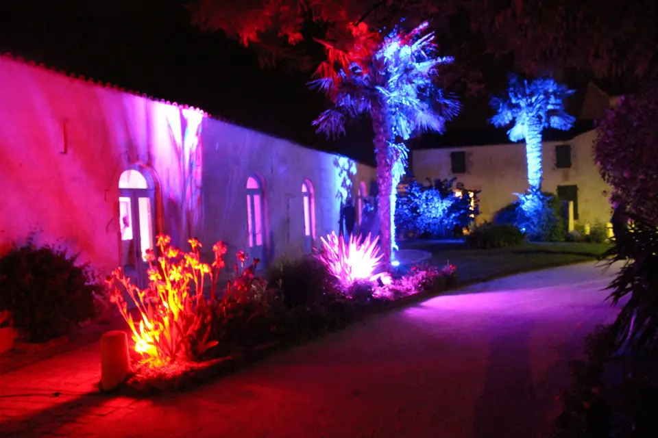 Exalt-Event — photo 1