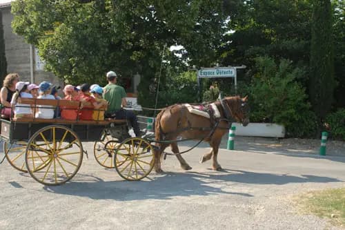 Domaine Équestre des Pialoux — photo 6