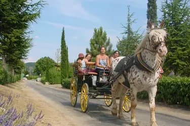 Domaine Équestre des Pialoux — photo 7