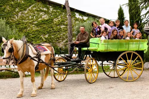 Domaine Équestre des Pialoux — photo 4