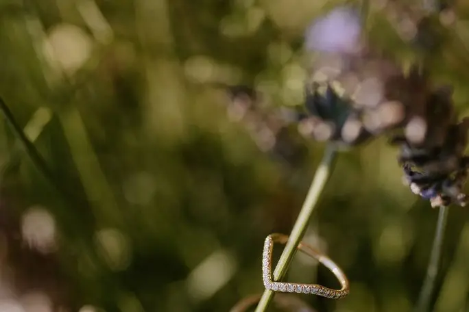 Cœur de Breizh — photo 6