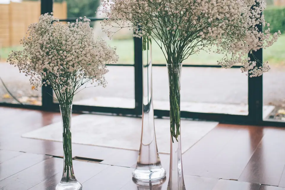 Freddy Jaulin — photo 2