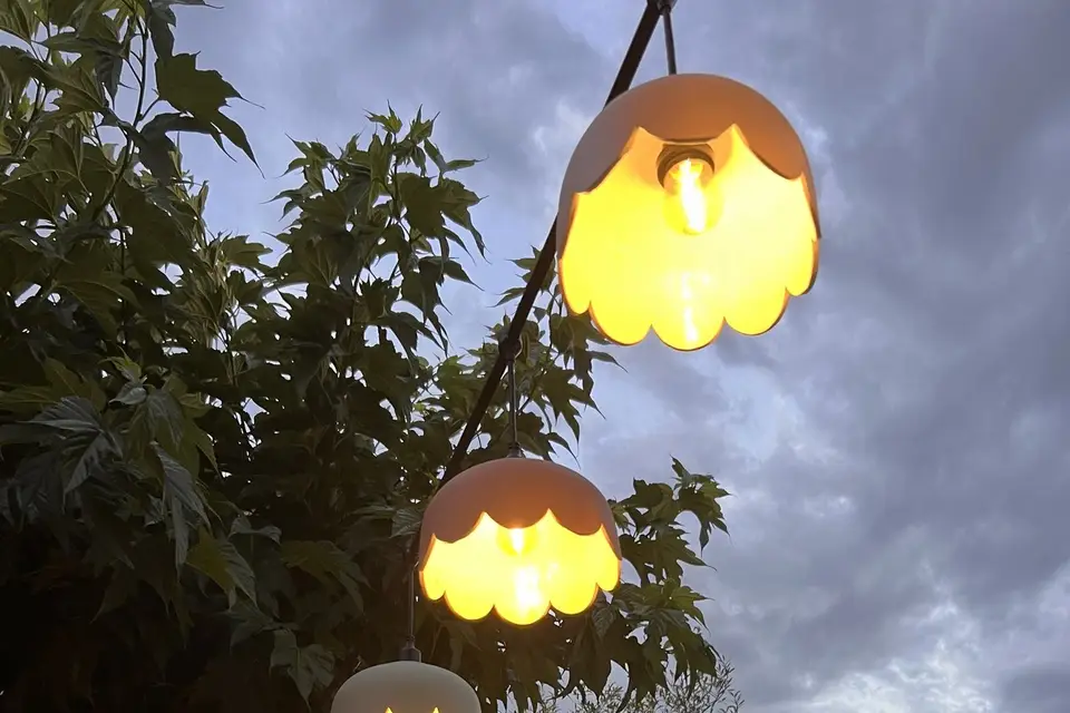 Lo Lum en Camargue — photo 1