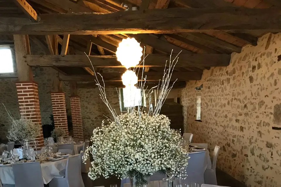 Freddy Jaulin — photo 5