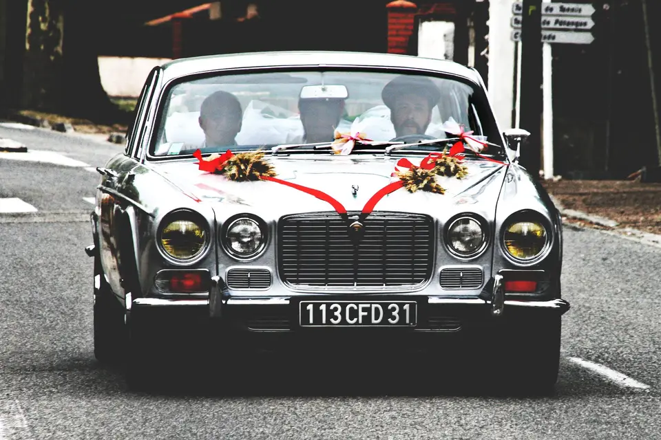 Alison Lucas Photographie — photo 8