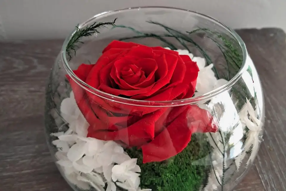 Mon Désir de Fleurs — photo 6