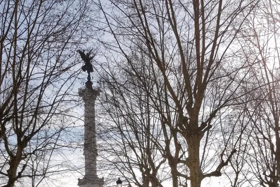 D Transport — photo 3