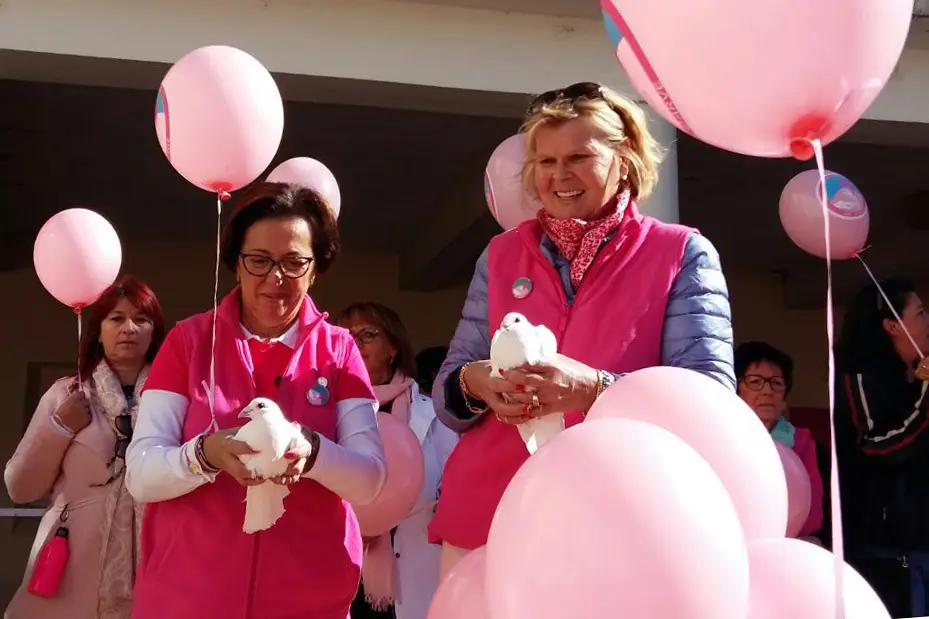 Association Annecy Colombes — photo 3