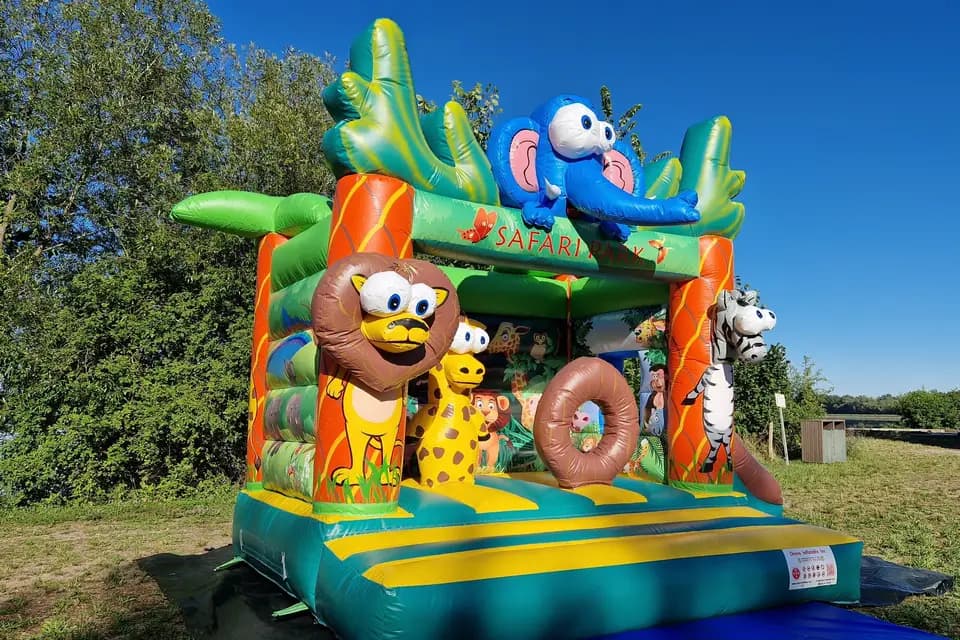 Location de l'Ill — photo 2