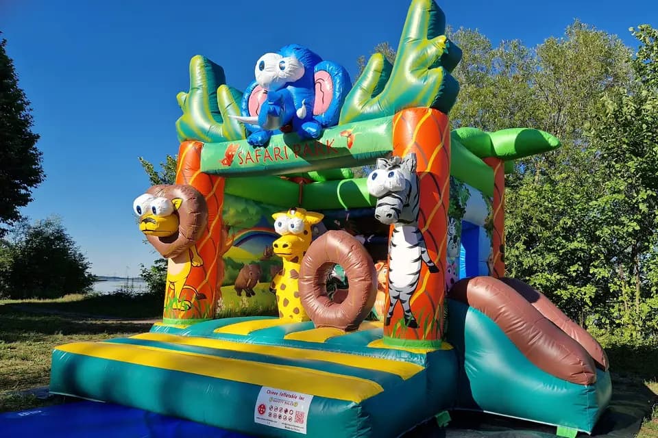 Location de l'Ill — photo 1