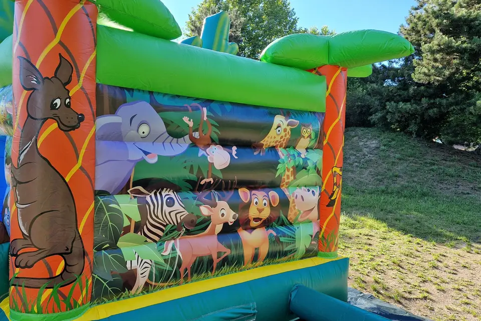 Location de l'Ill — photo 3