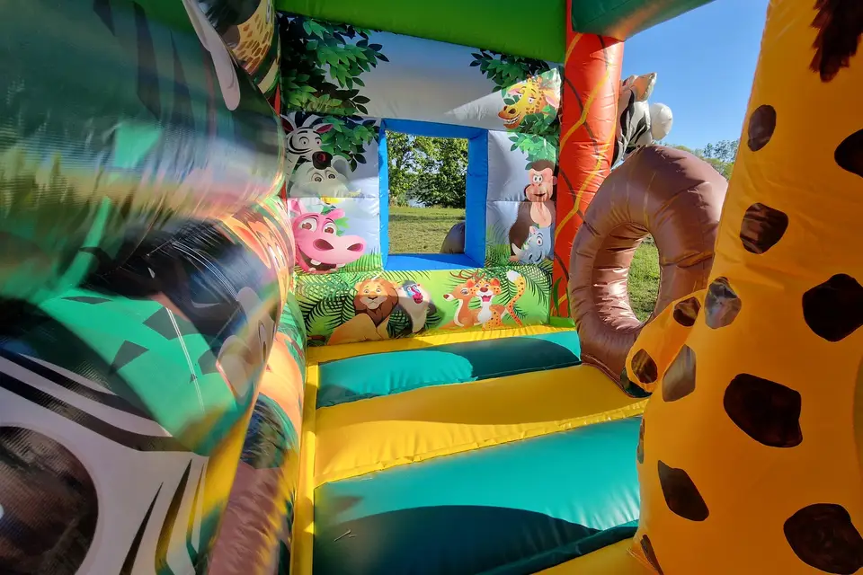 Location de l'Ill — photo 5