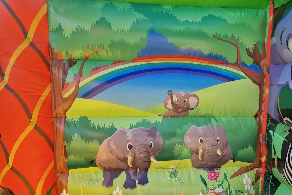 Location de l'Ill — photo 6