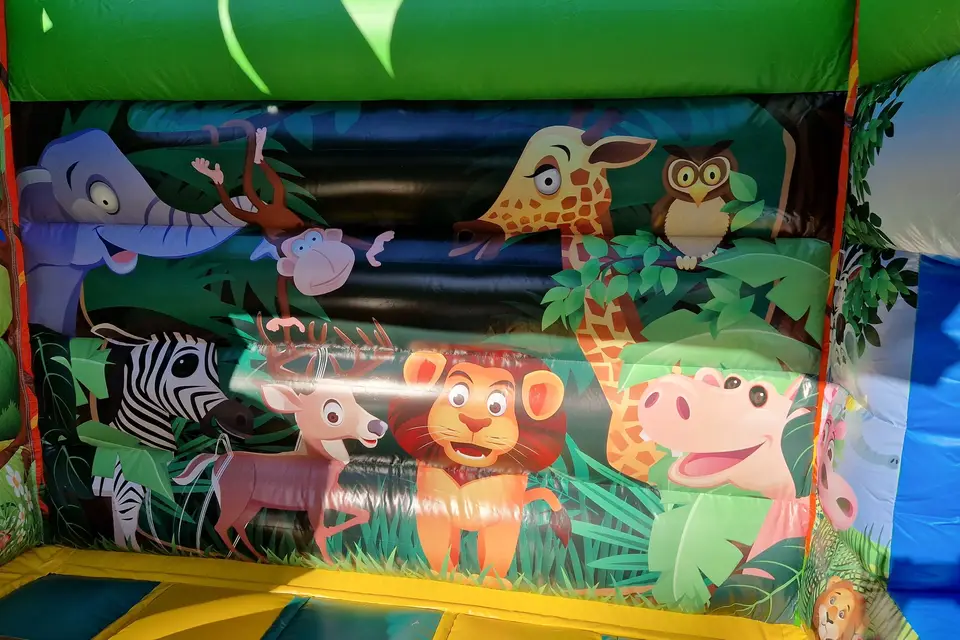 Location de l'Ill — photo 7