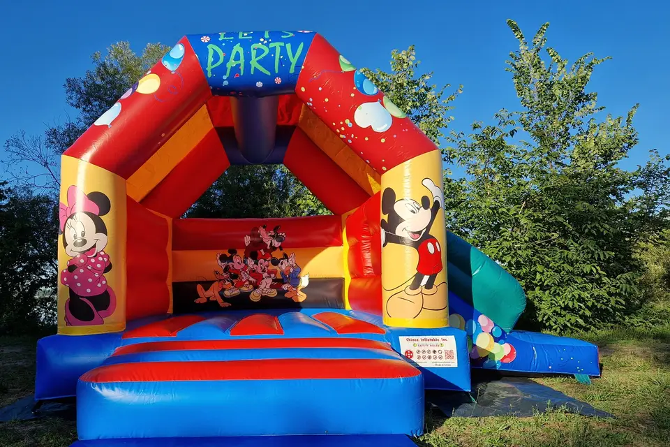 Location de l'Ill — photo 8