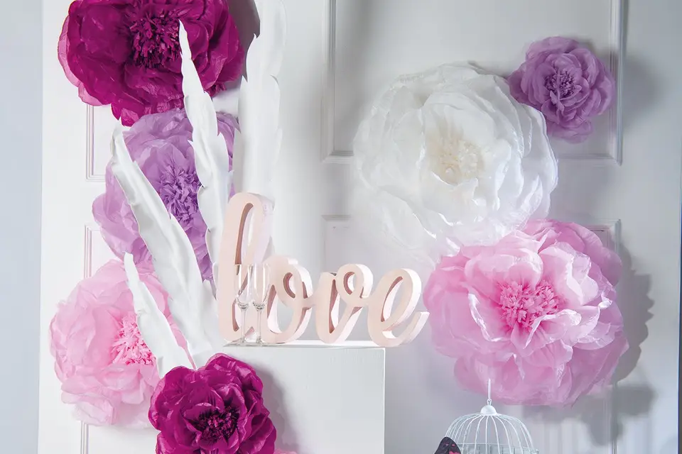 Planet'N'Co — photo 1