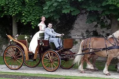 Les Attelages Comtois — photo 2