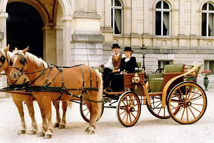 Les Attelages Comtois — photo 3