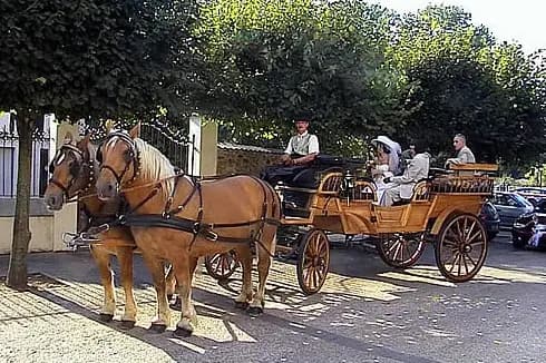 Les Attelages Comtois — photo 4