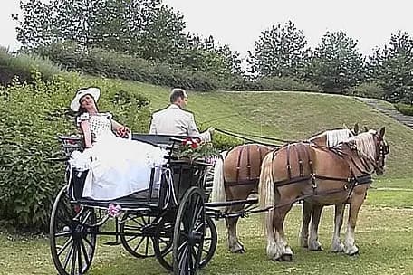 Les Attelages Comtois — photo 5