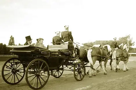 Les Attelages Comtois — photo 6