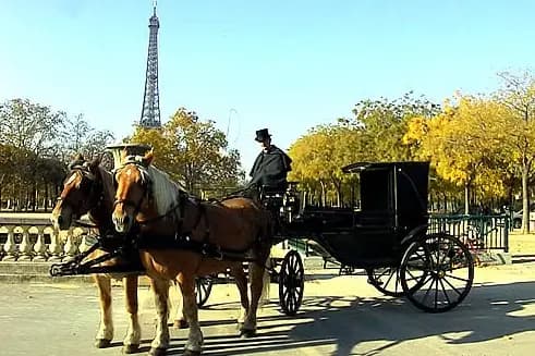 Les Attelages Comtois — photo 7