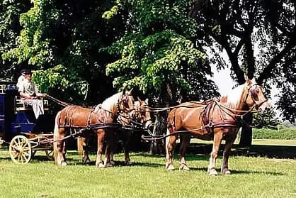 Les Attelages Comtois — photo 8