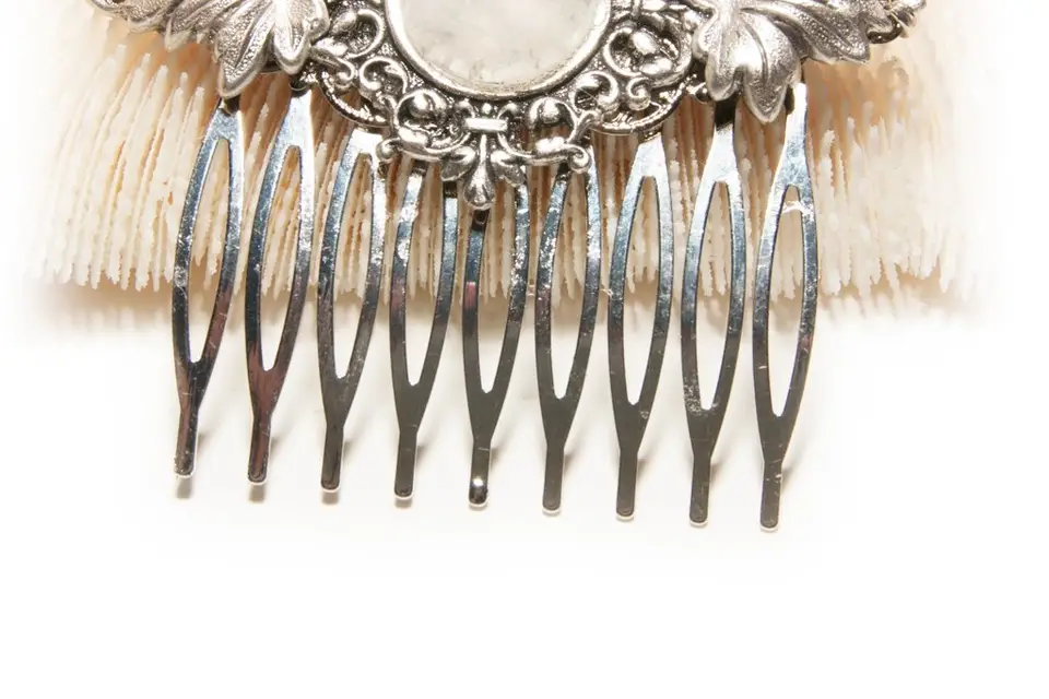 Le calice des fées — photo 1